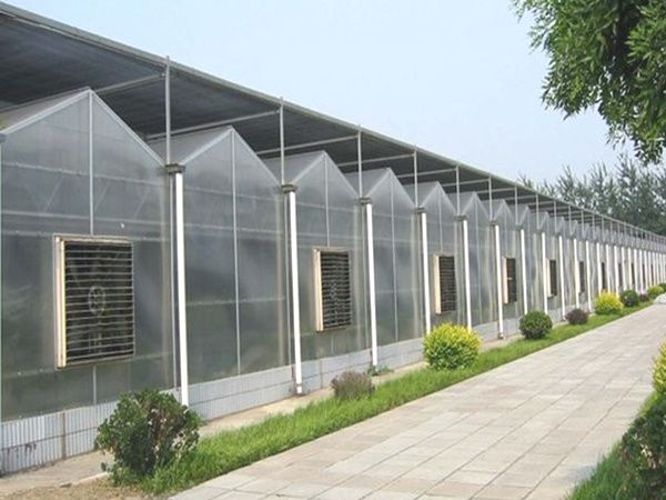 陽(yáng)光板溫室